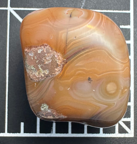 Large Orange Copper Replacement Eye Agate