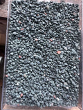 2 Pounds of Natural Lake Superior Chlorastrolite (Greenstone) – Final Offering