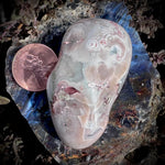 Biggest Copper Replacement Agate I’ve Found!!