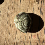 Copper Replacement Agate