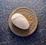 Copper Replacement Agate Cabochon