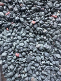 2 Pounds of Natural Lake Superior Chlorastrolite (Greenstone) – Final Offering