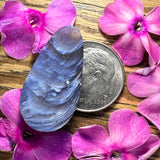 Pioneer Swirl Cabochon