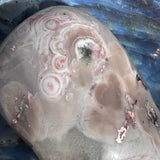 Biggest Copper Replacement Agate I’ve Found!!