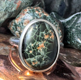Chlorastrolite Greenstone