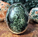 Big Bold Chlorastrolite Sterling Silver Ring