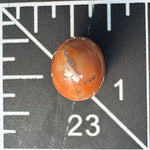 Orange Copper Replacement Eye Agate