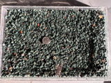 1lb over 1800 Keweenaw Chlorastrolite Greenstones