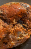 Rare Pair of Monumental Lake Superior Sagenite Agates Approximately 10.3 Pounds Combined