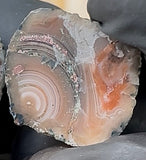 Copper Replacement Eye Agate – A Rare Piece of Michigan's Copper Country