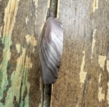 Copper Replacement/microscopic infused Eye Agate