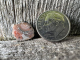 Copper Replacement Eye Agate – A Rare Piece of Michigan's Copper Country