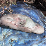 Biggest Copper Replacement Agate I’ve Found!!