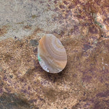 Copper Replacement Eye Agate Cabochon