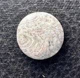 Copper Inclusion Agate Cabochon