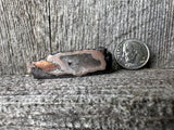 Rare Copper Replacement Agate