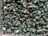 1lb over 1800 Keweenaw Chlorastrolite Greenstones