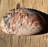 Marquette Sagenite Agate Cabochon