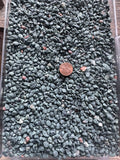 2 Pounds of Natural Lake Superior Chlorastrolite (Greenstone) – Final Offering