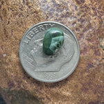 Chlorastrolite Greenstone Cabochon (island stone)