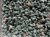 1lb over 1800 Keweenaw Chlorastrolite Greenstones