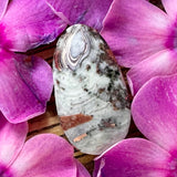 Copper Replacement Agate