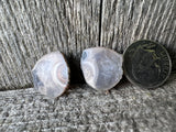 Copper Replacement Eye Agate – A Rare Piece of Michigan's Copper Country