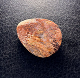 Marquette Sagenite Agate Cabochon