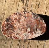 Marquette Sagenite Agate Cabochon