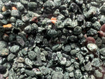 1lb over 1800 Keweenaw Chlorastrolite Greenstones