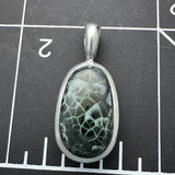 Chlorastrolite Pendant