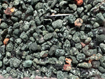 1lb over 1800 Keweenaw Chlorastrolite Greenstones