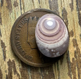 Purple Banded Keweenaw Eye Agate Cabochon