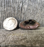Hematite Plume Eye Agate