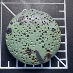 Pioneer Green Cabochon