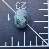 Chlorastrolite Greenstone Cabochon