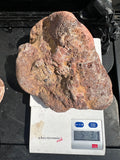 Rare Pair of Monumental Lake Superior Sagenite Agates Approximately 10.3 Pounds Combined