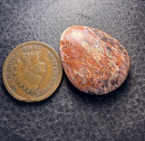 Marquette Sagenite Agate Cabochon